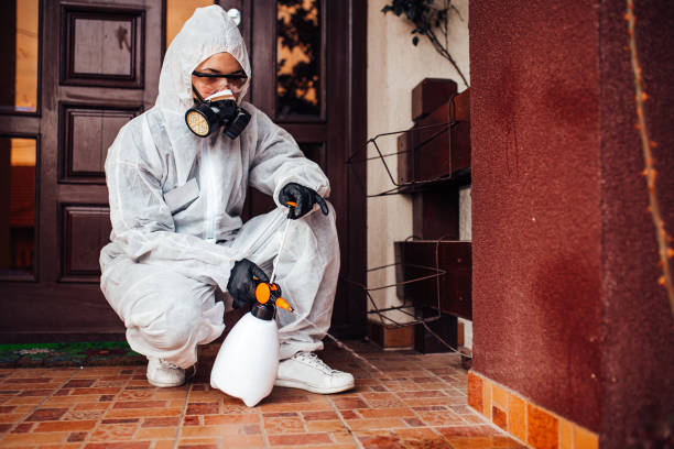 Attic and Crawl Space Rodent Treatment in Lochmoor Waterway Estates
