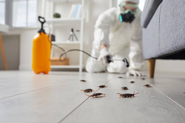 Commercial Rodent Management in Lochmoor Waterway Estates